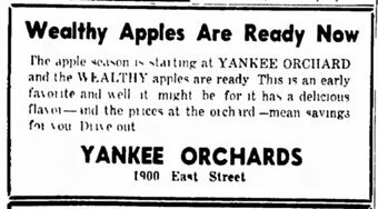 ORCHARDS01.jpg